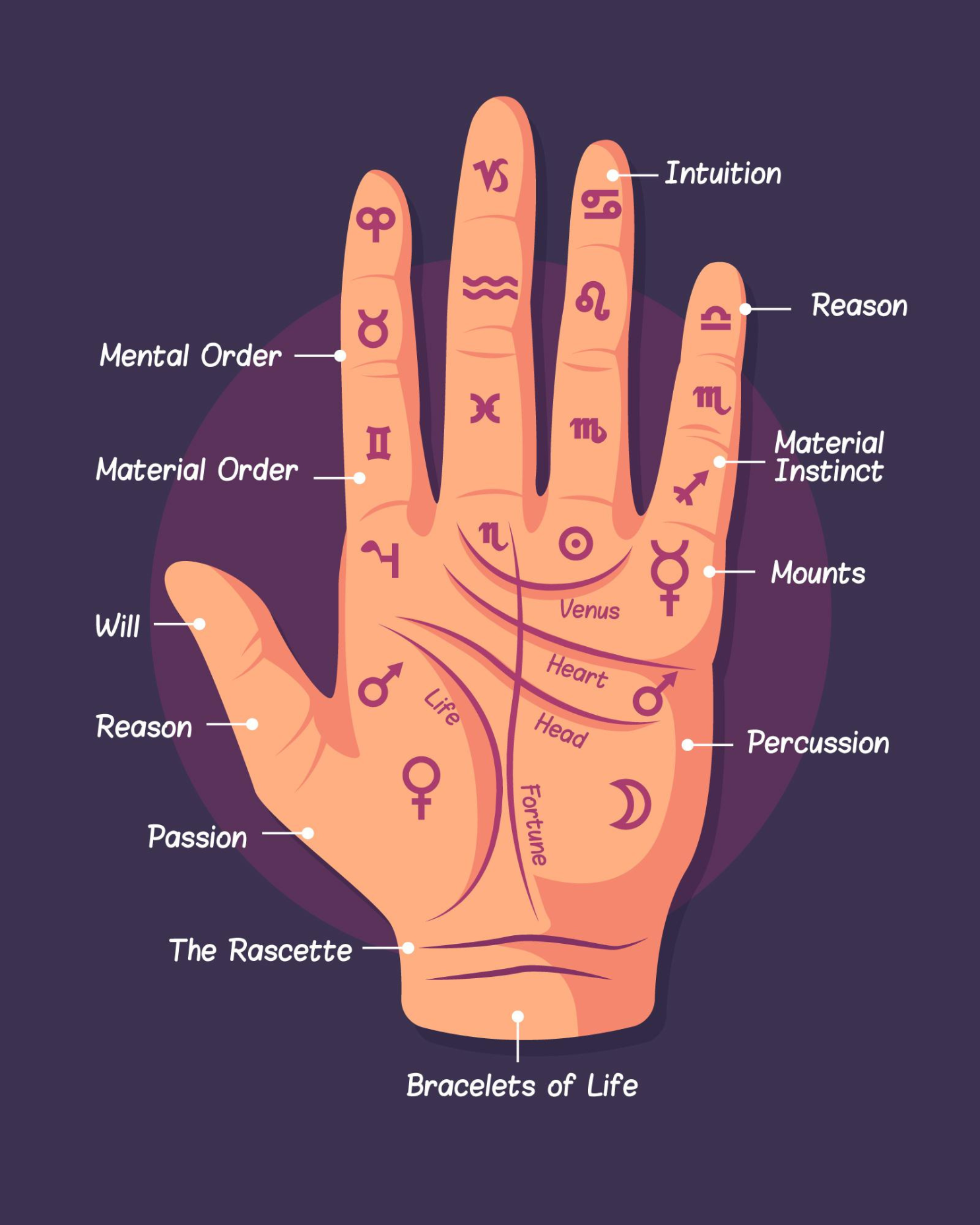 Palmistry Path