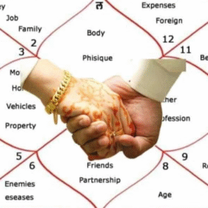 Gun Milan Compatibility